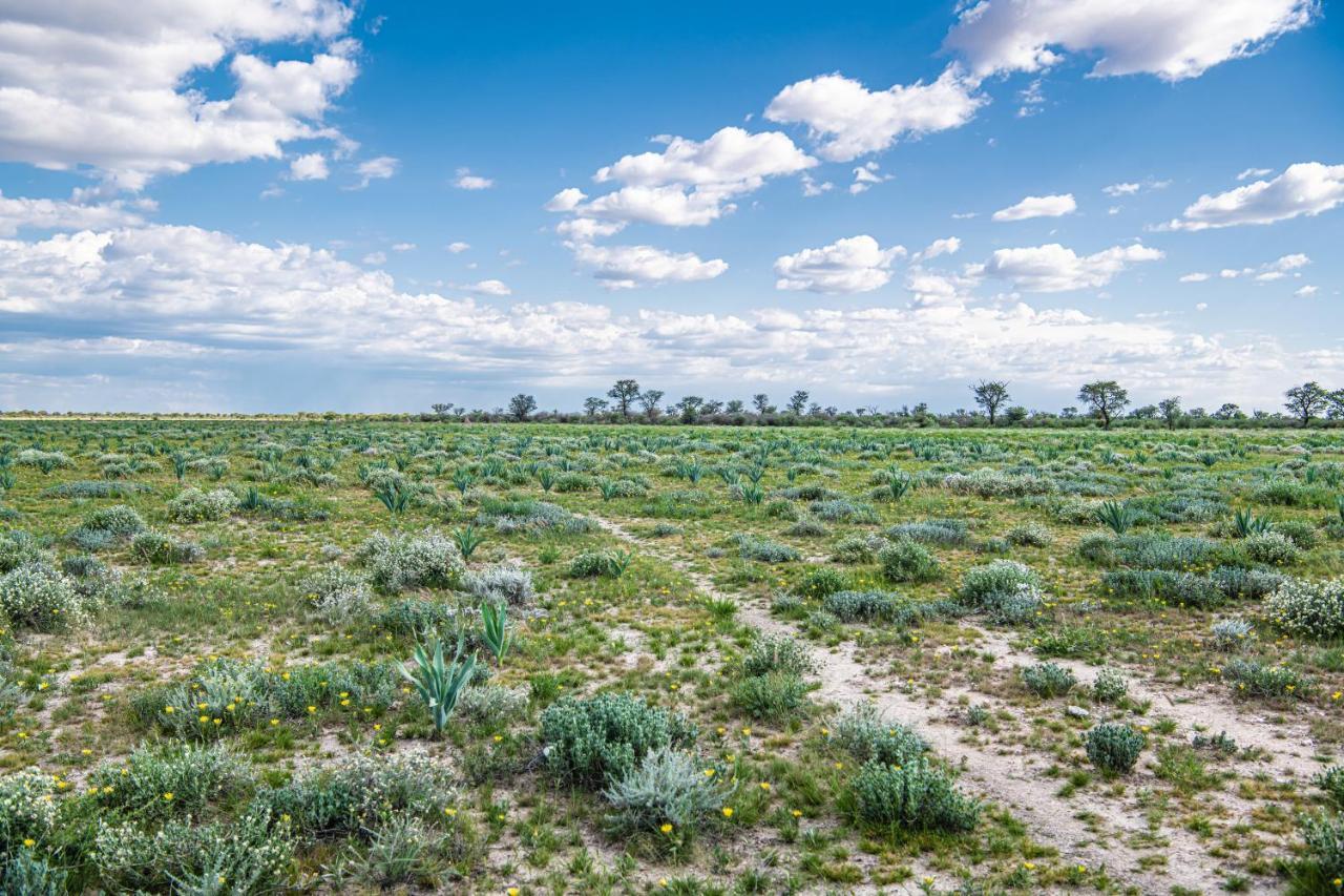 Farmstay Okakeua Okahandja Exteriör bild